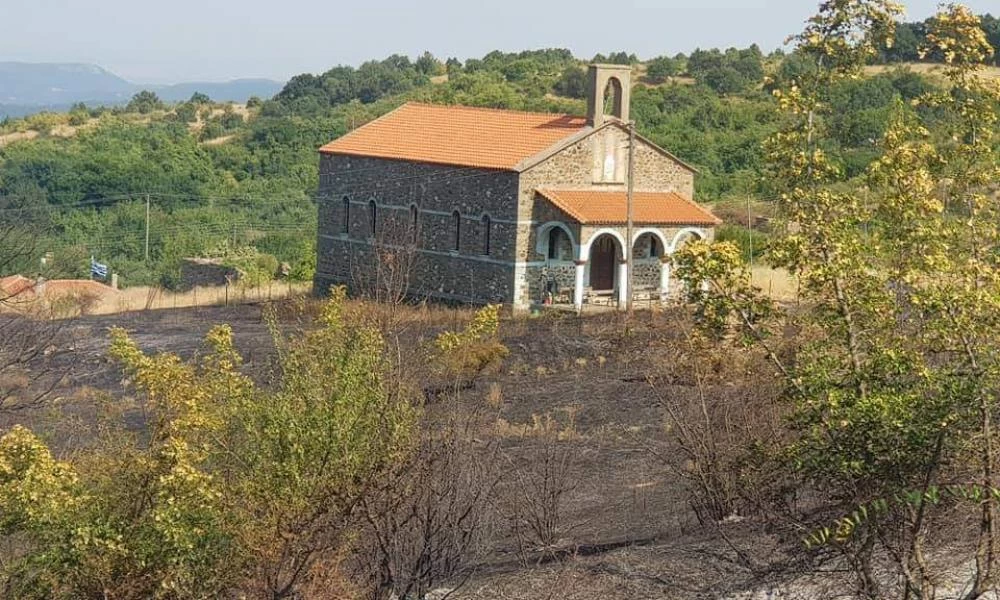 Ζημιές στο οικοσύστημα του δάσους της Δαδιάς